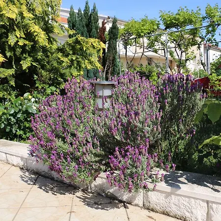 Apartment Marija Zadar